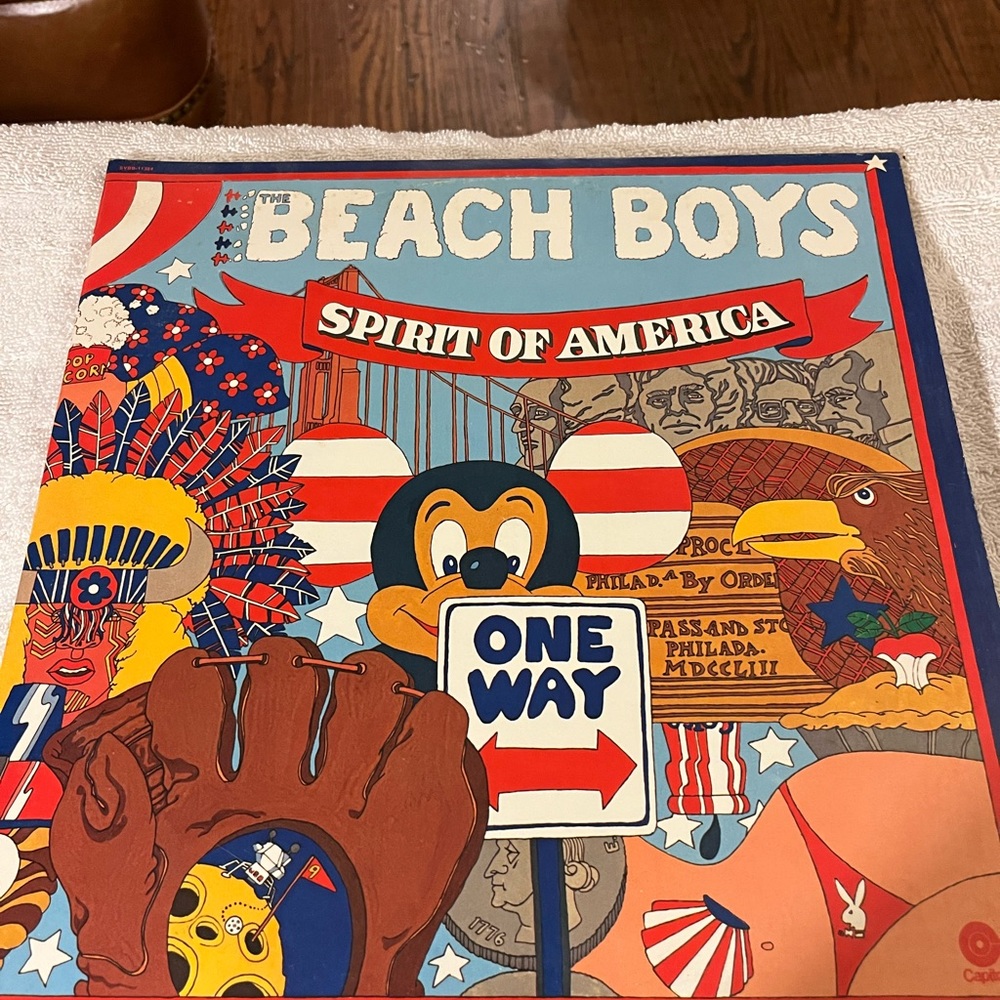 The Beach Boys Vintage Vinyl